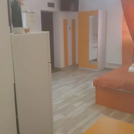 Spital Fundeni * Bucarest