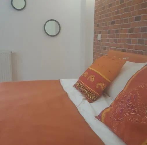 Spital Fundeni * 布加勒斯特