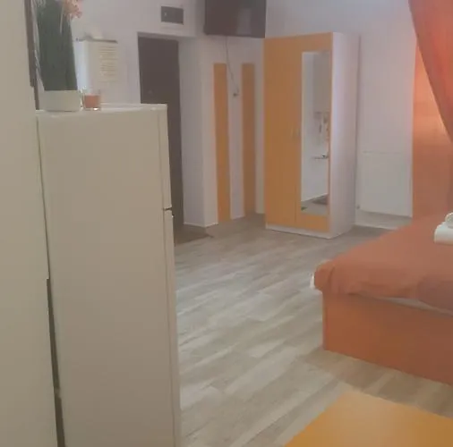 Spital Fundeni * 布加勒斯特