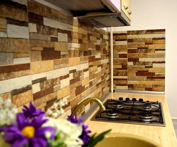 Spital Fundeni 公寓 *